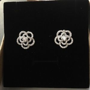 Crystal silver earrings